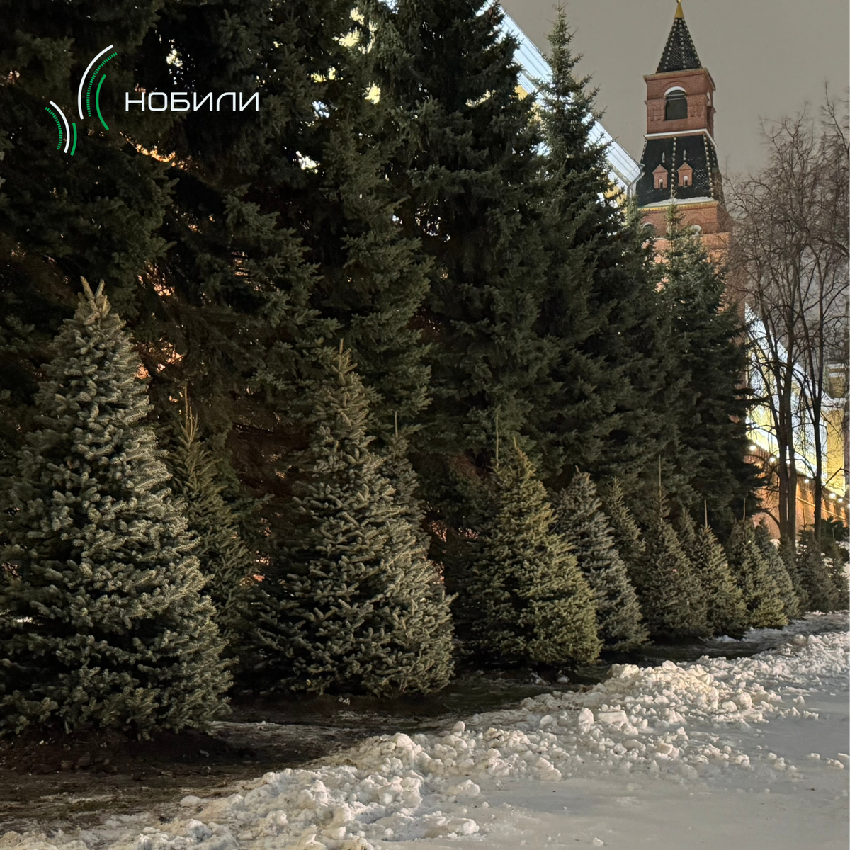 Фото из архива компании «Нобили»