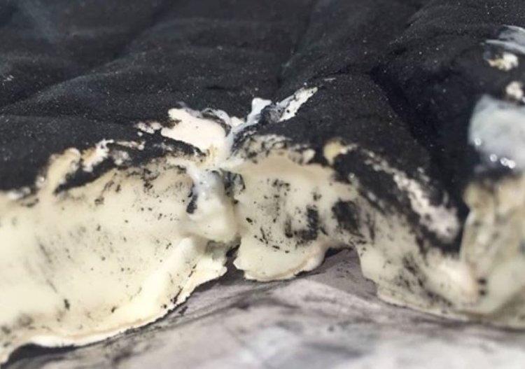    Сливочный камамбер в оливковой золе производят подмосковные козоводы