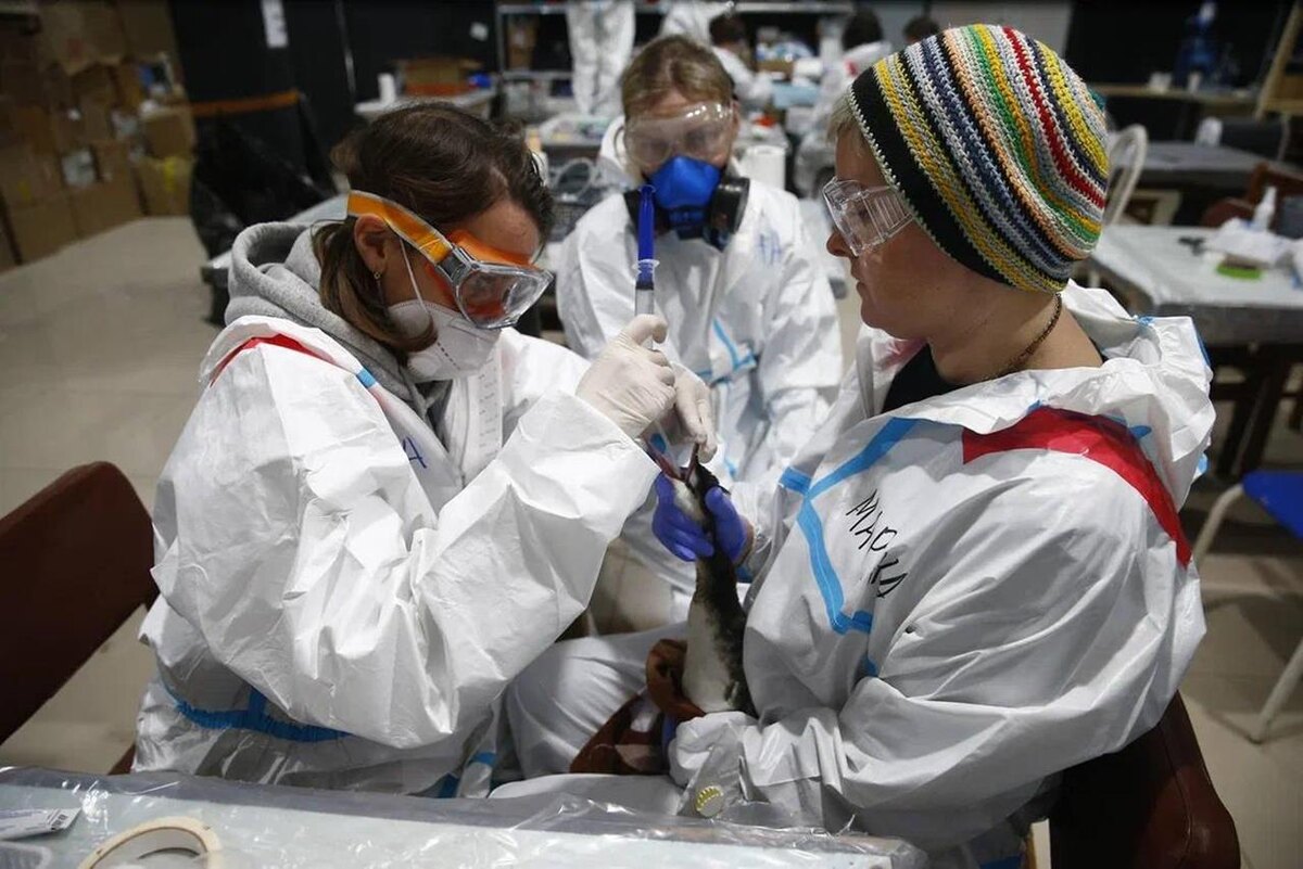 Фото: тг-канал Вениамина Кондратьева