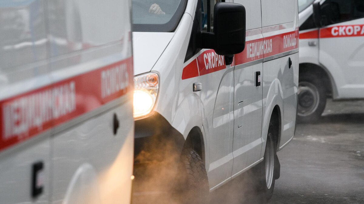    Фото: Ilya Moskovets/globallookpress.com