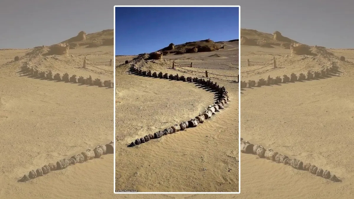 © AP Photo/Thomas Hartwell