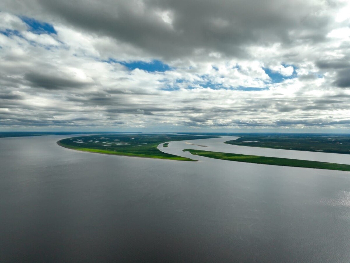    Ученые изучили популяции рыб в реках Таймыра / Источник: Пресс-служба ПАО «НК «Роснефть»