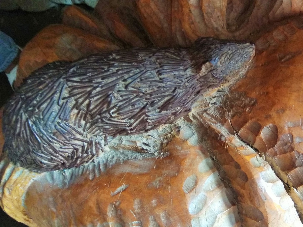 Фото автора