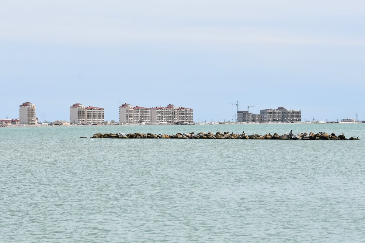 Фото: Гала Амарандо