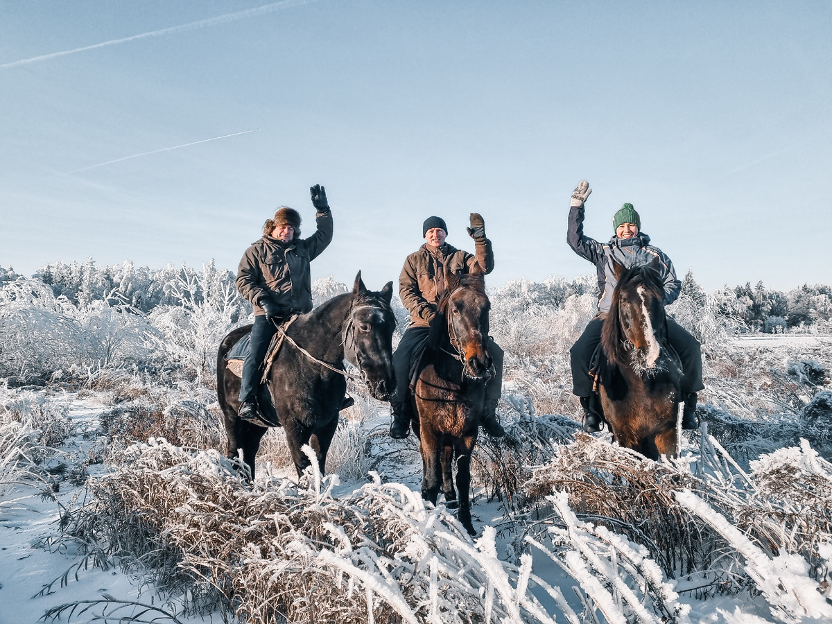 Зимние прогулки