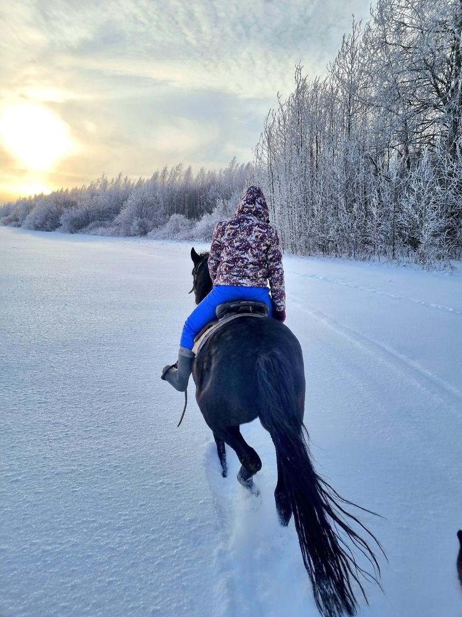 Пробивка новой тропы после снегопада