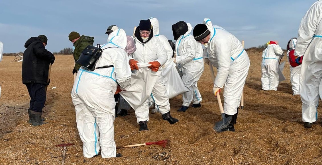    Фото: anapa-official.ru