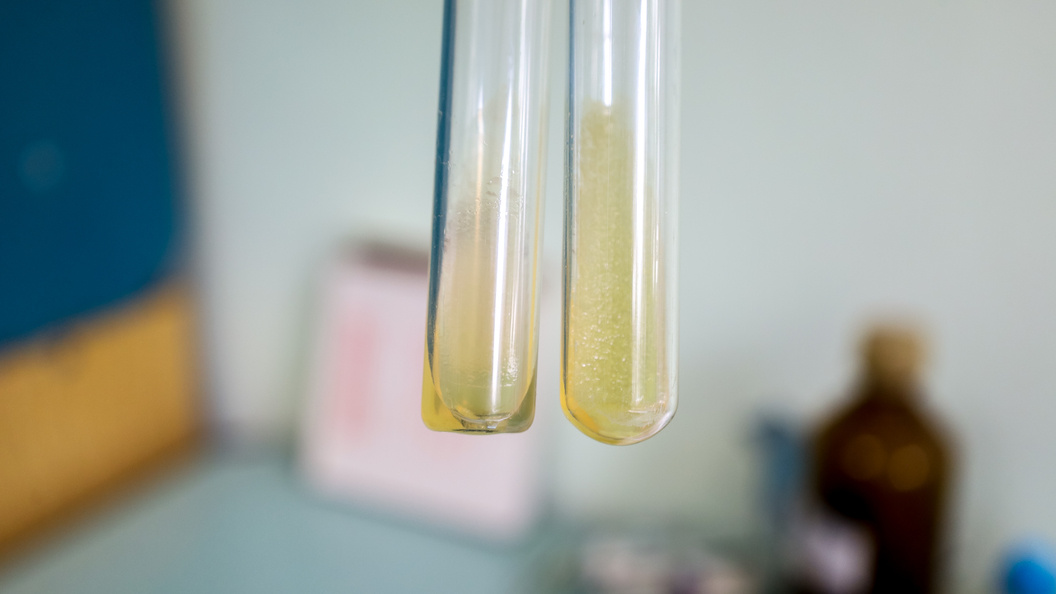    Фото: Elena Mayorova/Global Look Press