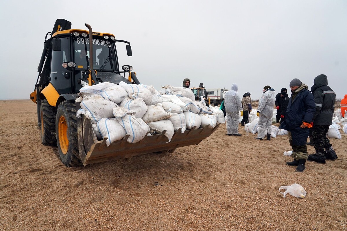     / Источник: © ИЗВЕСТИЯ/Павел Волков