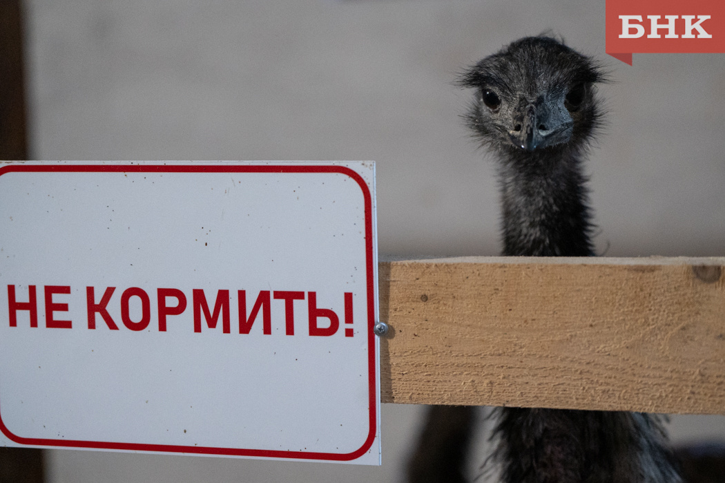 Фото Константина Стратиенко