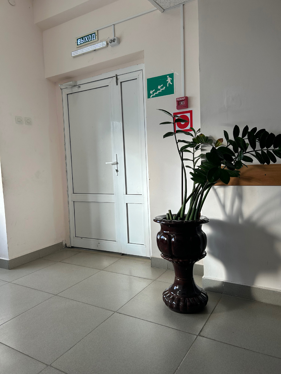 Сидим в больнице 