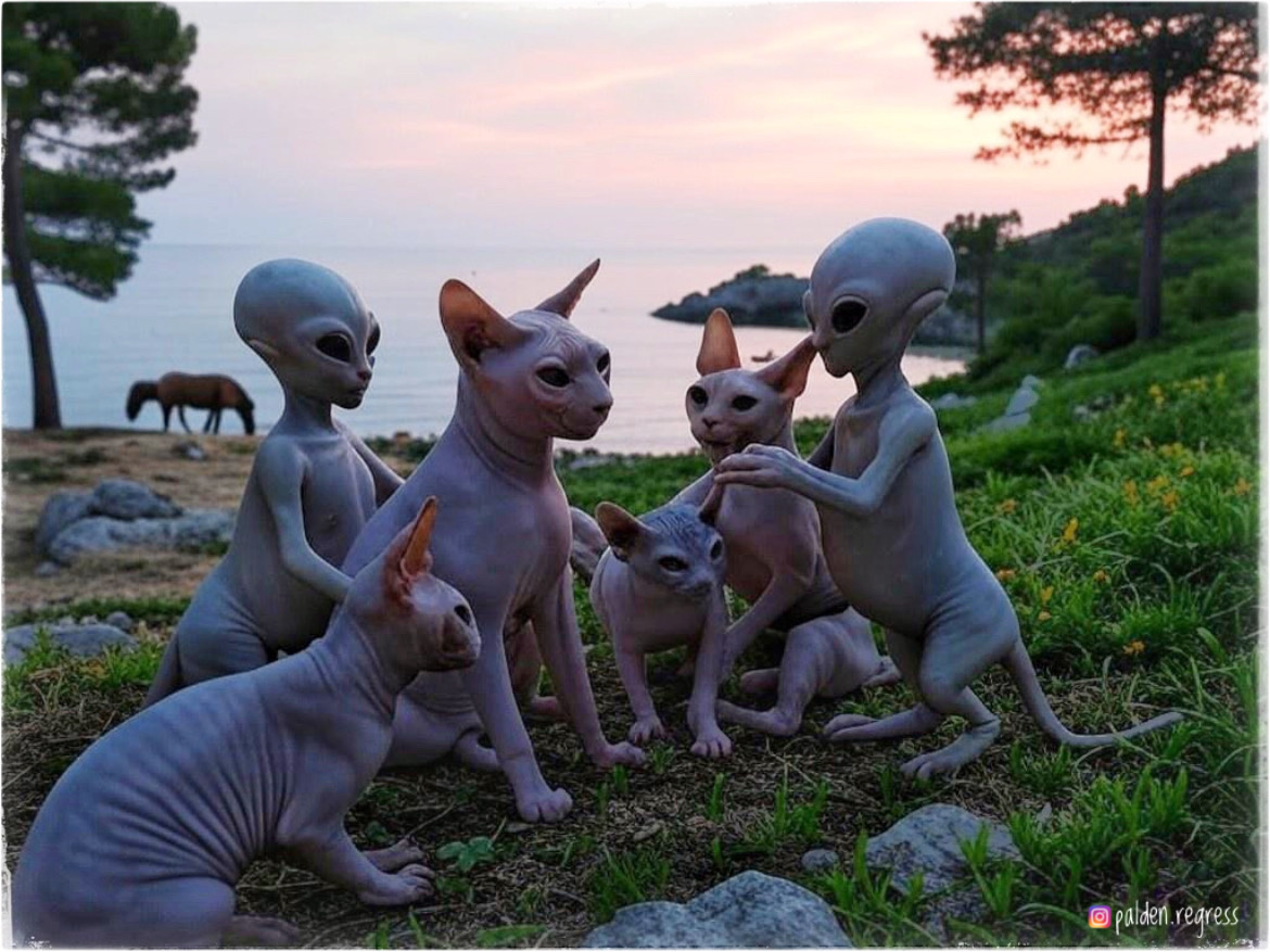 Сфинксы - инопланетяне (made by ai)