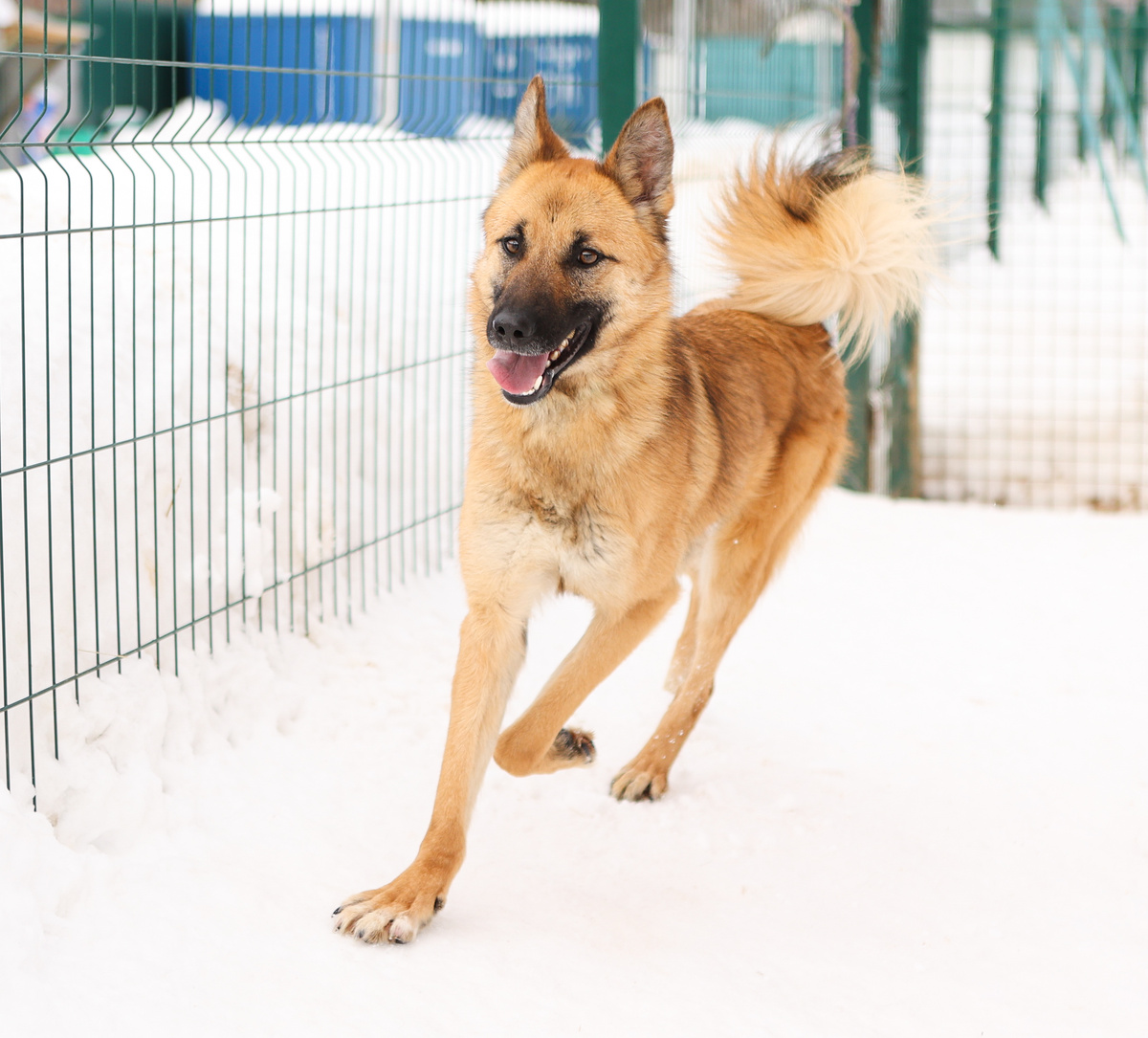 Это я опять бегу спотыкаюсь о себе рассказываю