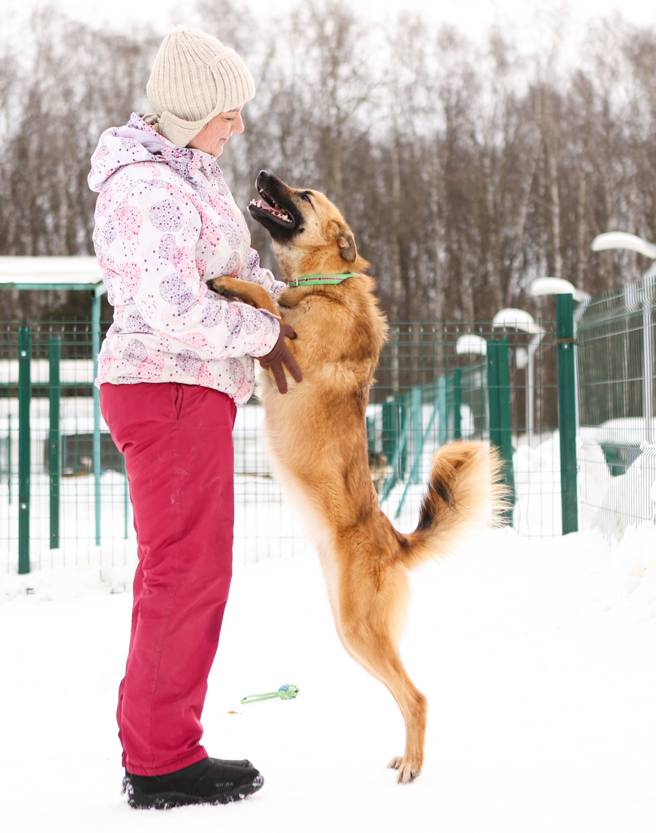 Модельная внешность сейчас в моде? Я как раз в хорошей форме