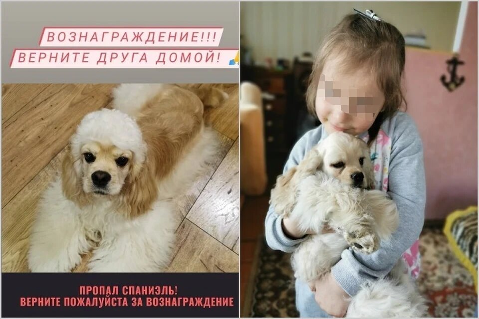 Герда нашлась в Рождество. Фото: личный архив