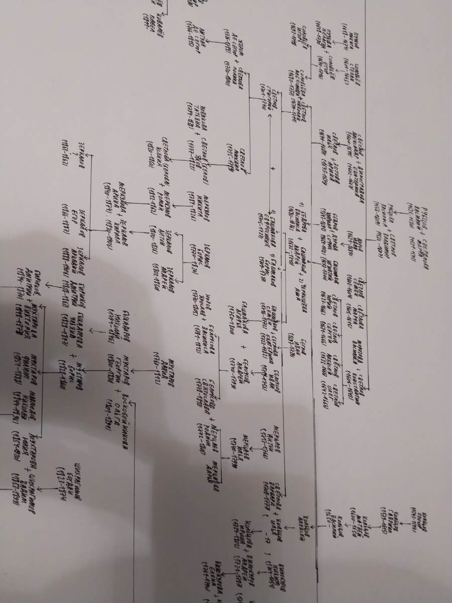 Родословная литературных героев. Фотто предоставлено автором.