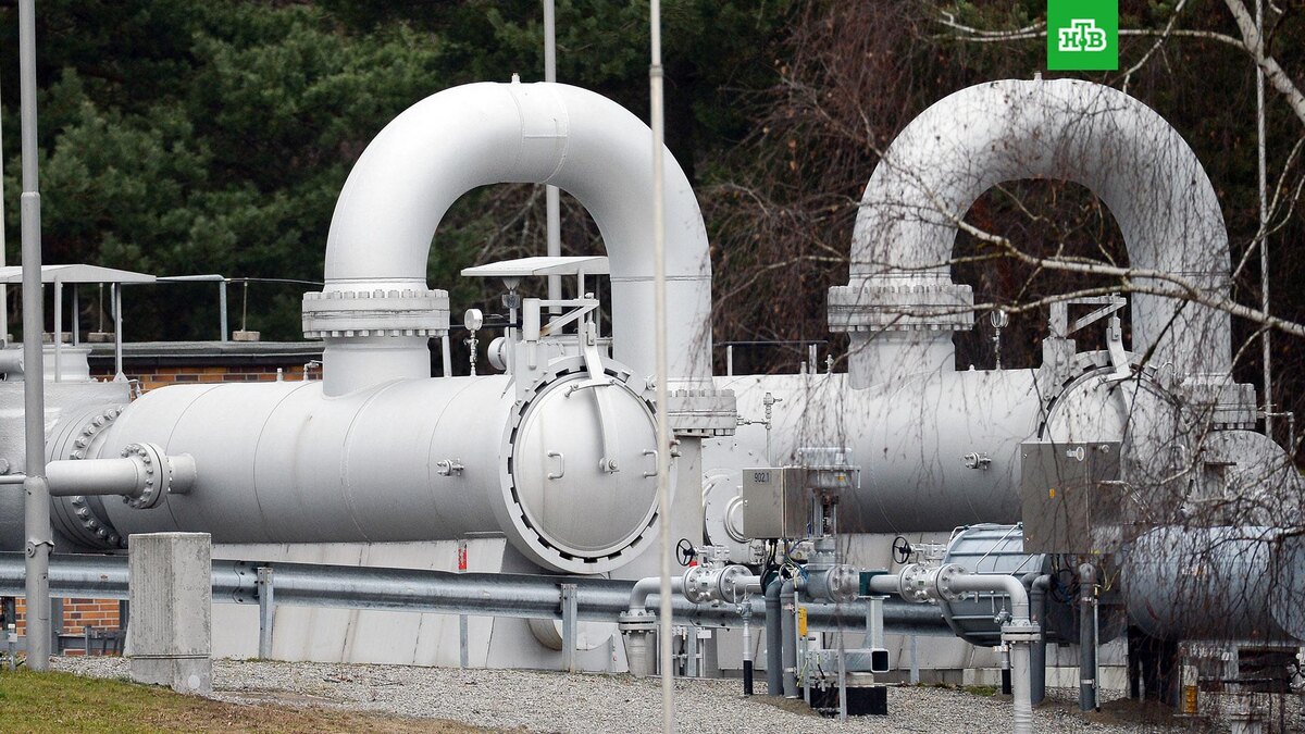    Фото: РИА Новости © 2025, Алексей Витвицкий