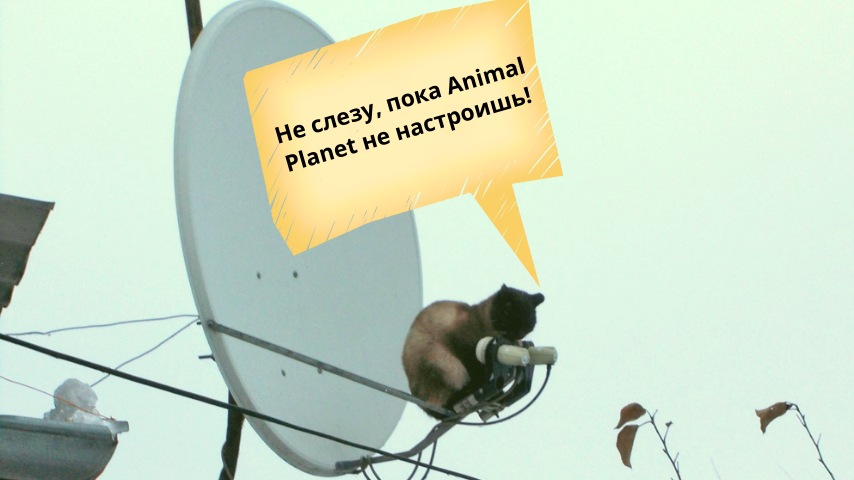 Установка и настройка спутниковой антенны глазами дилетанта