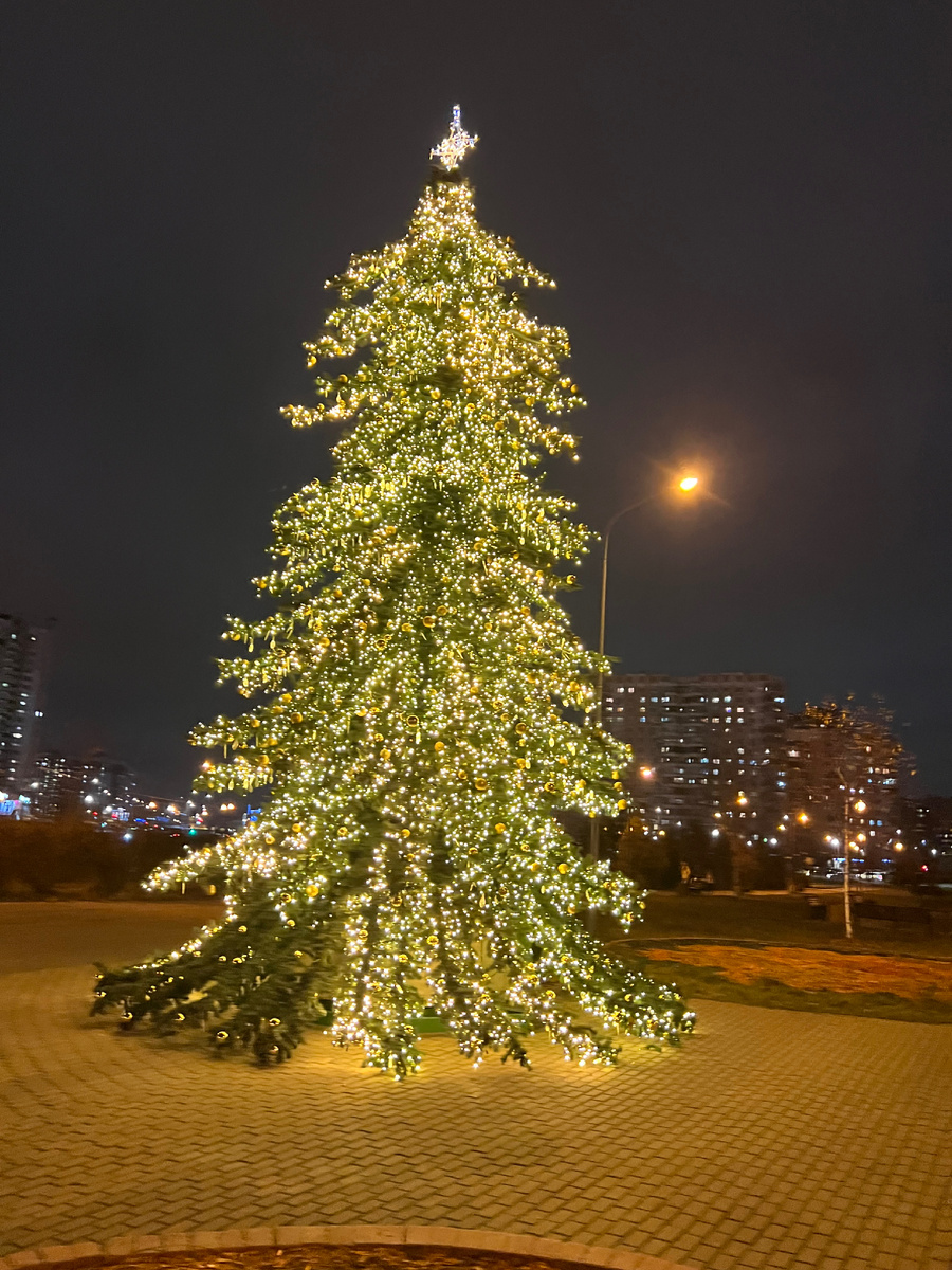 Елочка на кругу А. Боровика