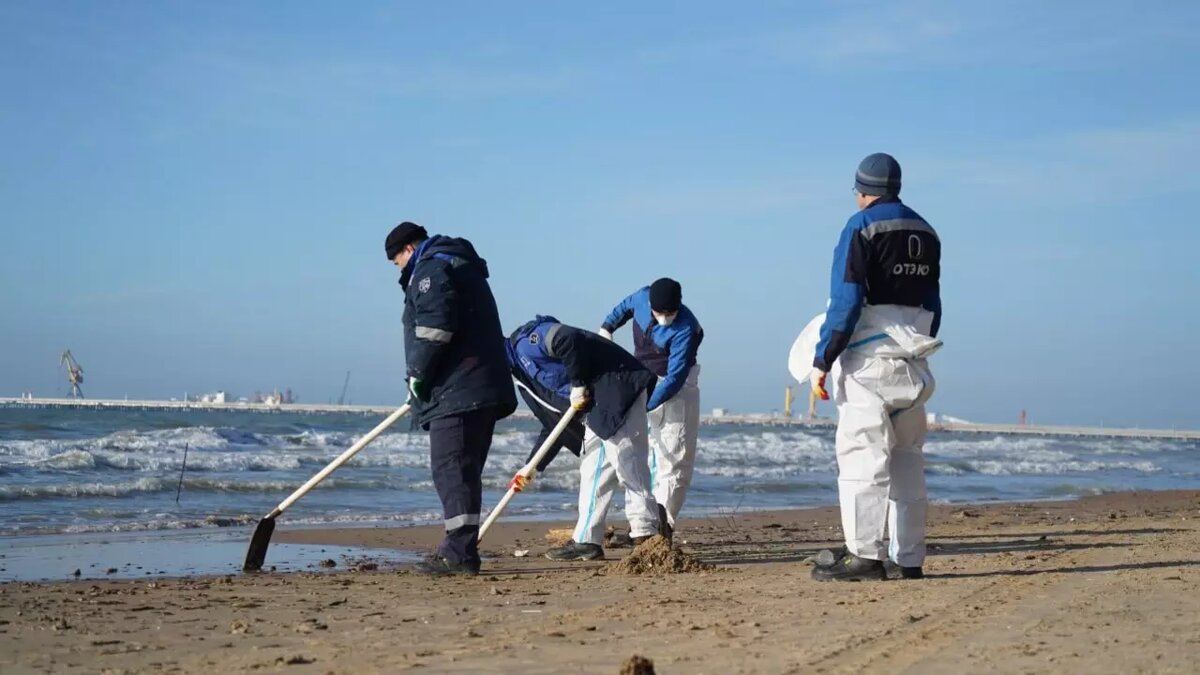     Автор: Оперштаб Кубани