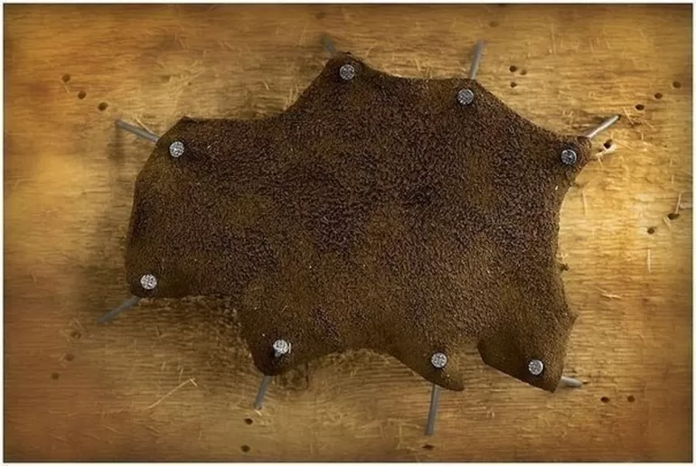 Шагреневая кожа 