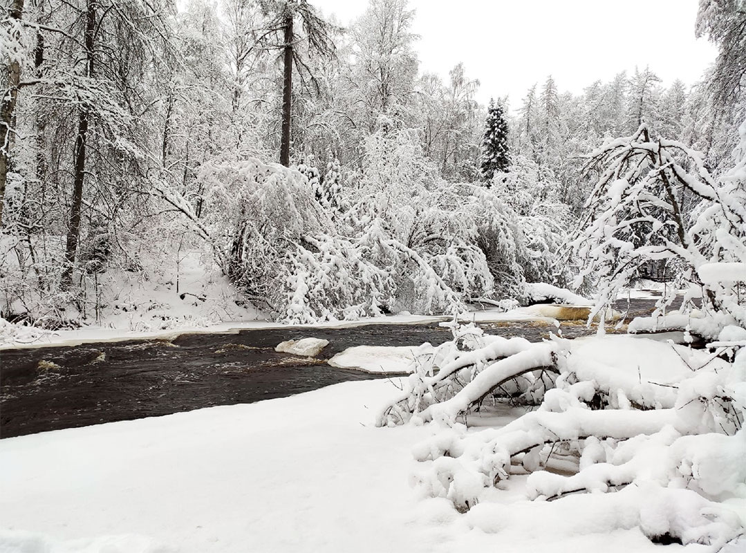 Наслаждаться природой граждане смогли с комфортом.  Фото: Фото: ФедералПресс / Анна Евстигнеева