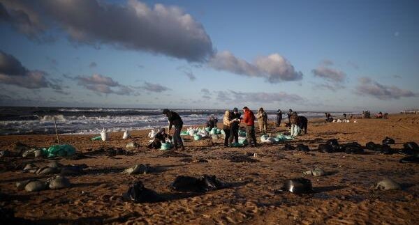    РИА «Новости»