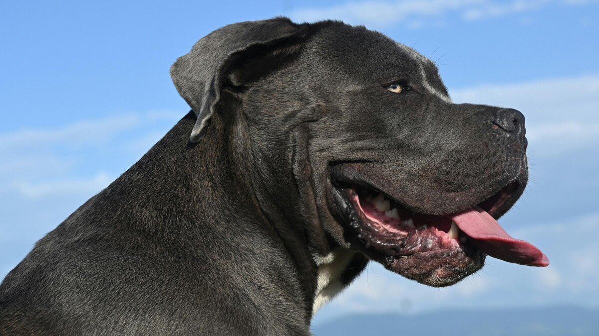    Фото: unsplash.com