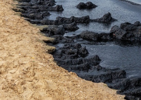    Путин обвинил в плохой работе ответственных за устранение мазутной катастрофы в Чёрном море