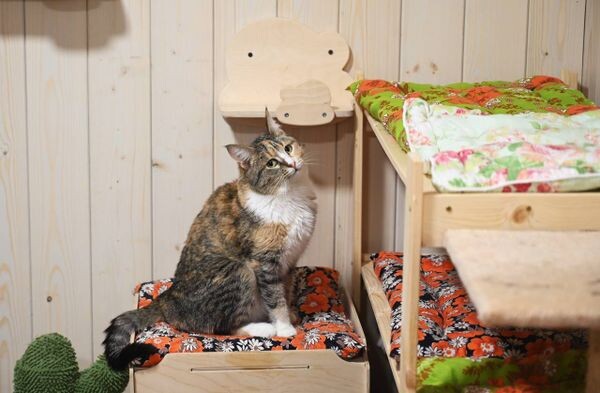 Листайте вправо, чтобы увидеть больше изображений