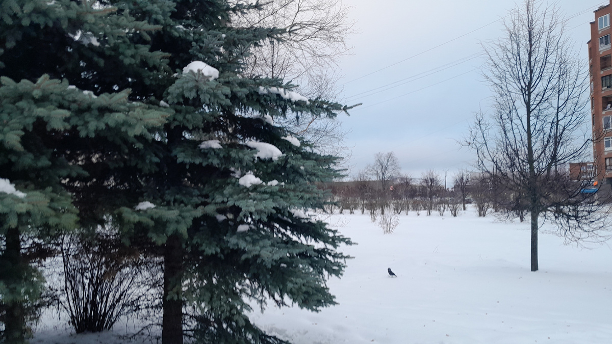 Необработанное фото Ирины Одарчук Паули