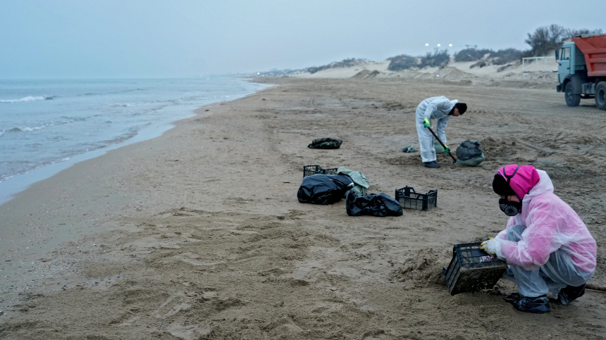    Фото: ИЗВЕСТИЯ/Павел Волков; 5-tv.ru