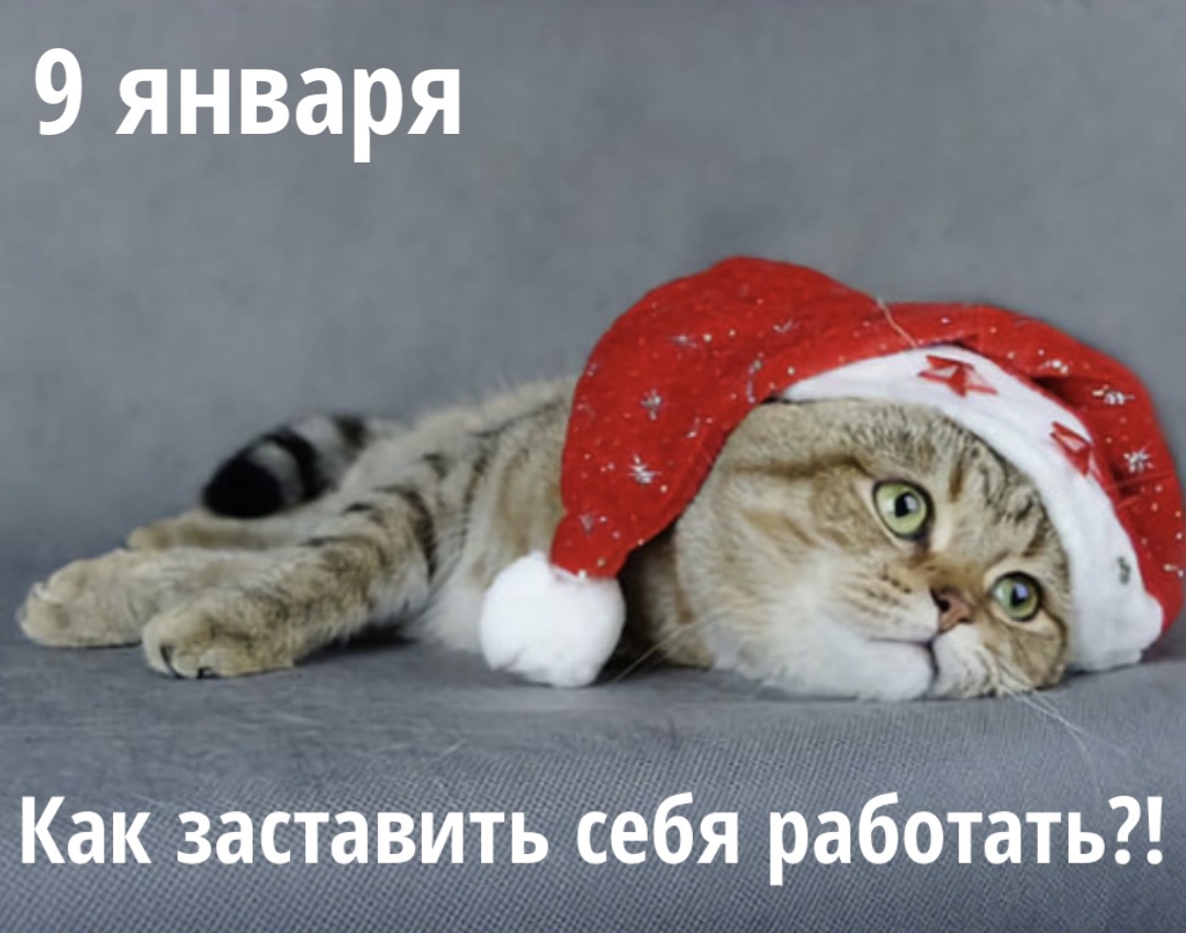 Картинку сделала сама