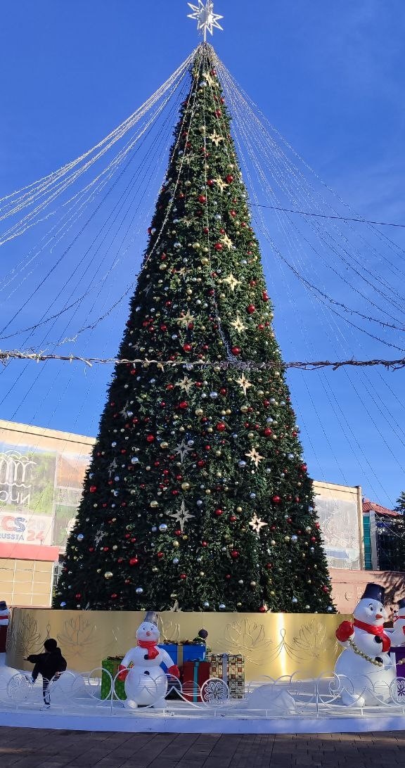 Елка на Навагинской