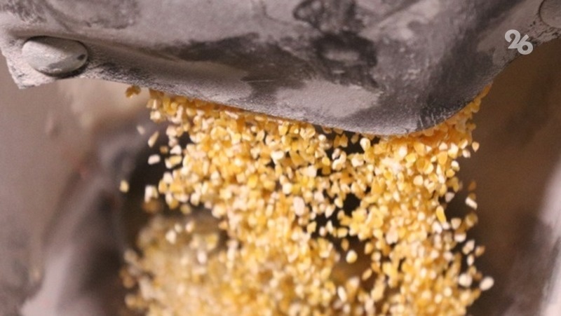      Фото: ИА «Победа26»