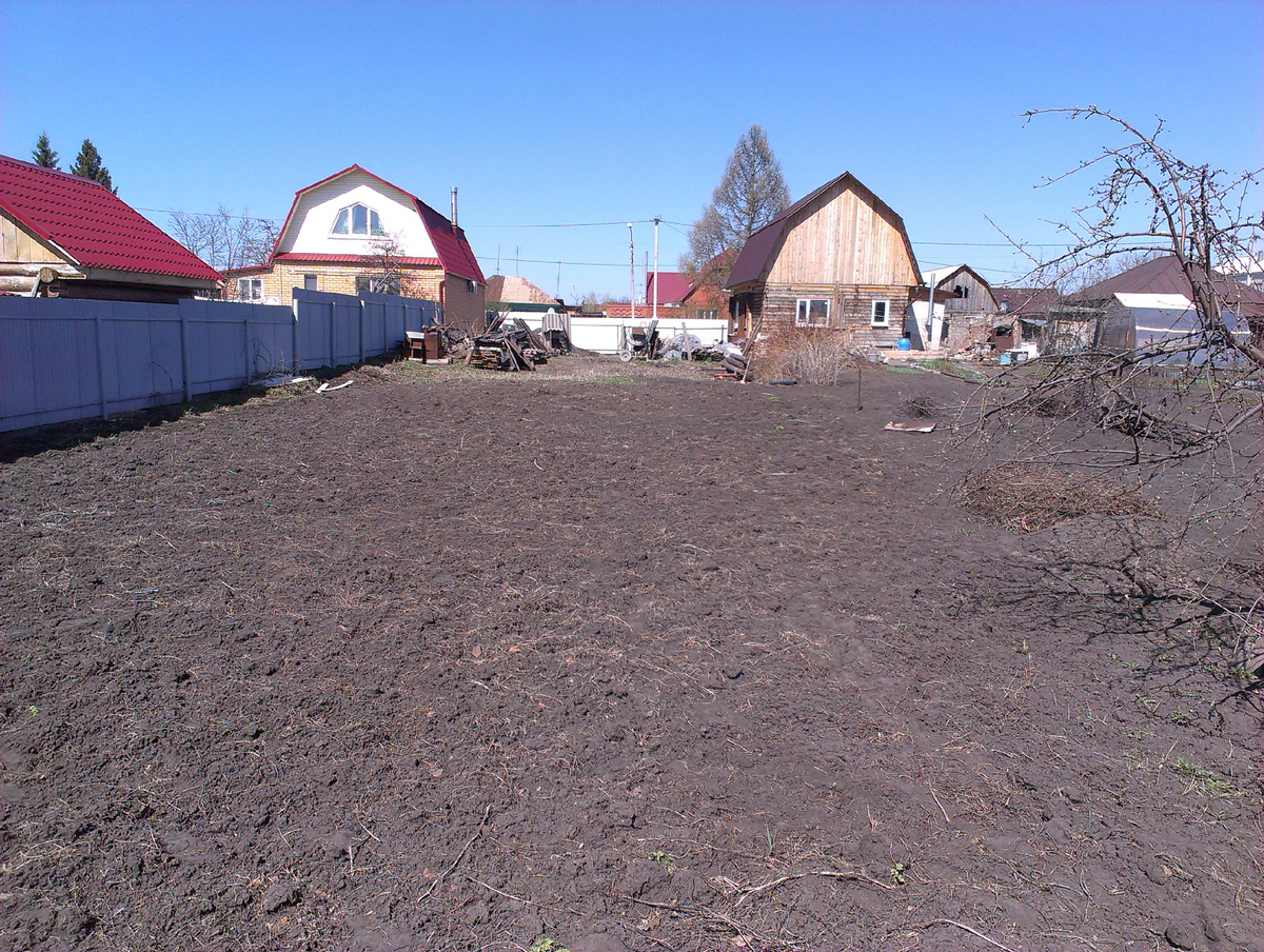 Вид осенью с другого конца участка. Мусор и фундамент убран, огород распахан
