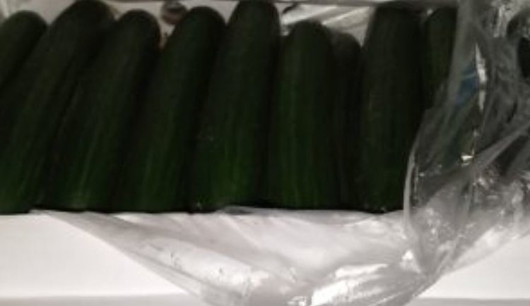    Рождественские огурцы из Казахстана вернули отправителю