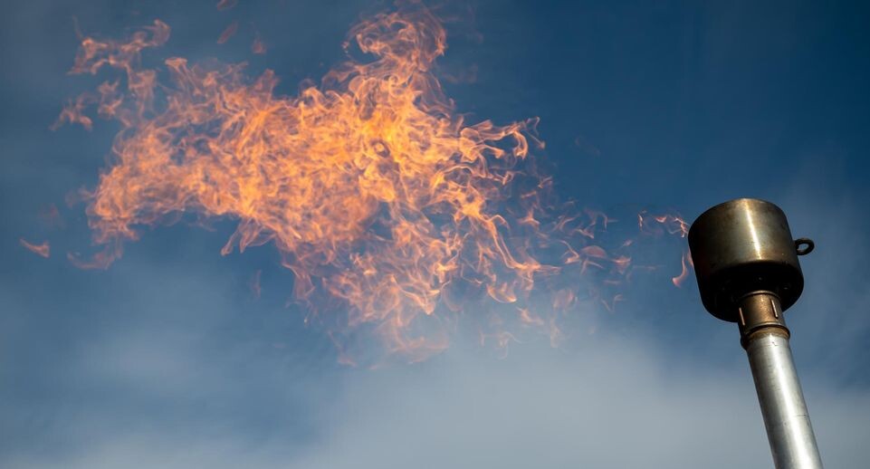    Harald Tittel/dpa / Global Look Press