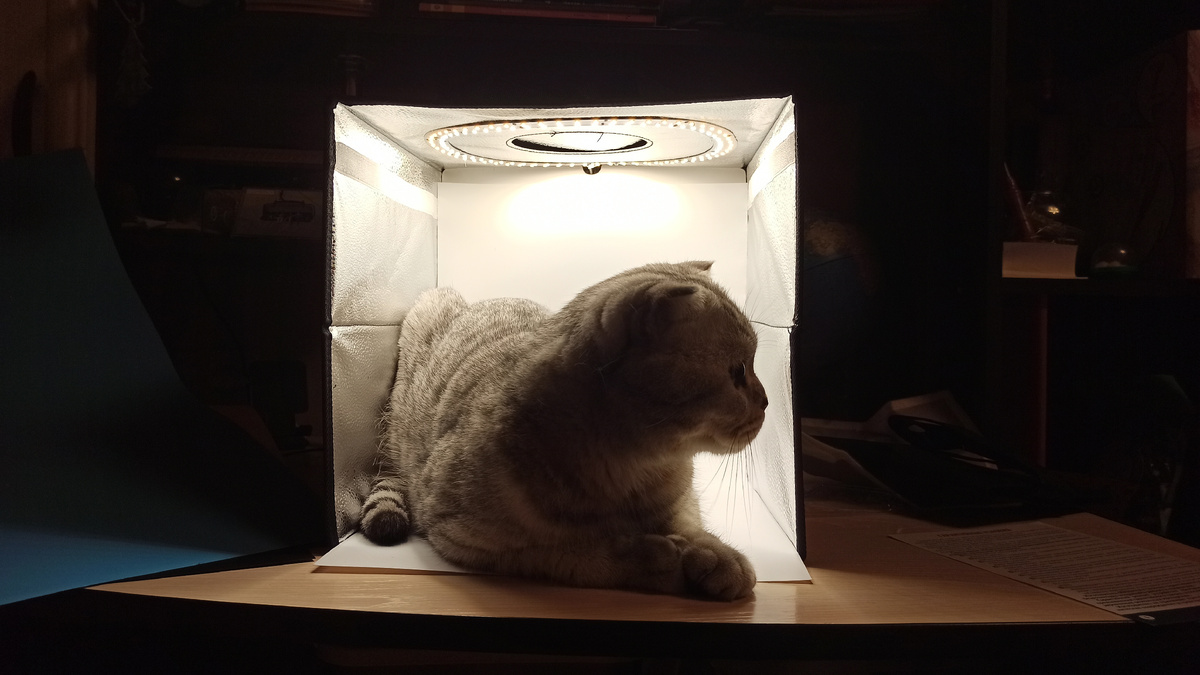 Фото автора