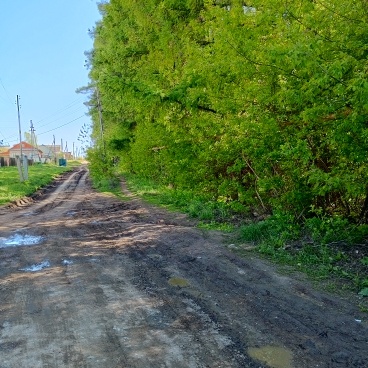 Поселковые дороги.