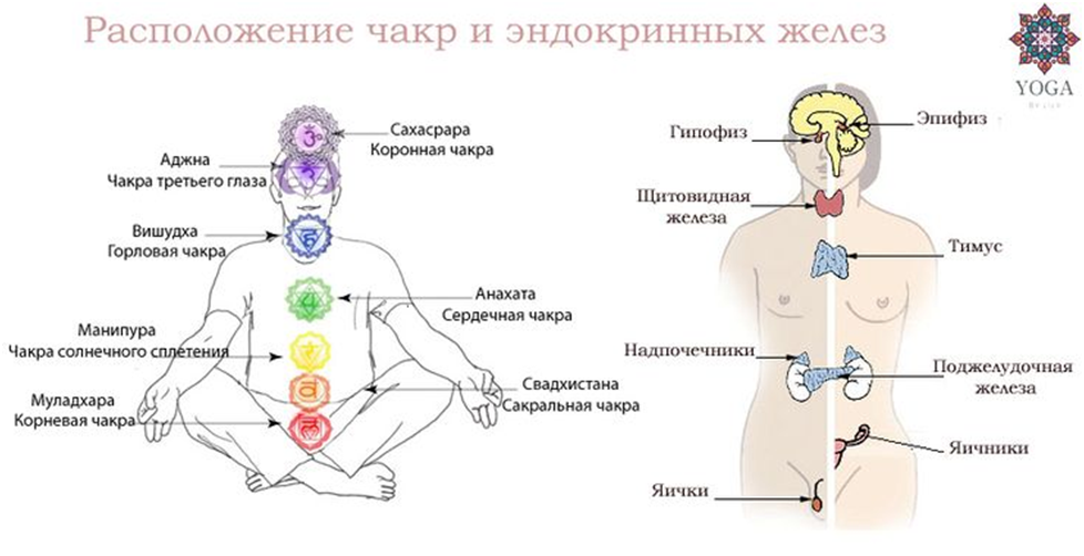 Схема   из сайта: https://i.pinimg.com/736x/e2/e9/6b/e2e96bcd867b9362536e8a185b2e924b.jpg.