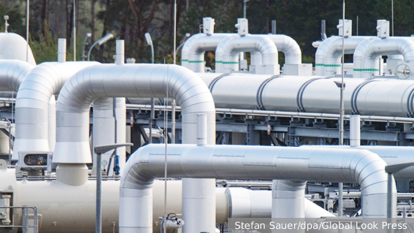     Фото: Stefan Sauer/dpa/Global Look Press   
 Текст: Дарья Григоренко