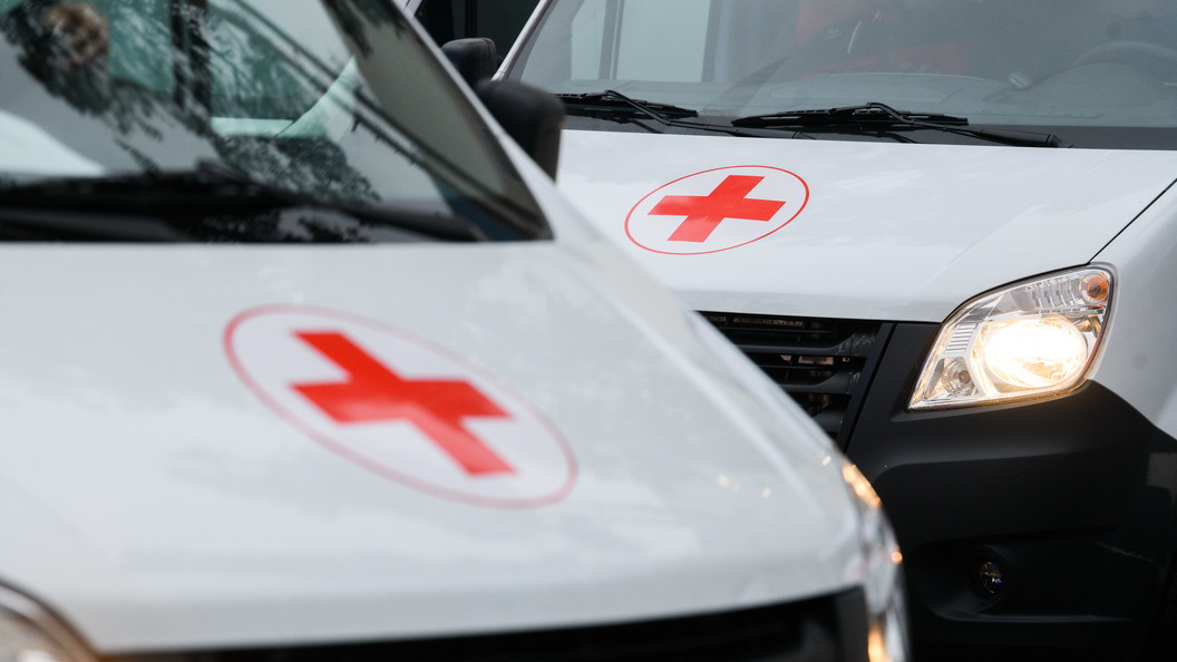    Ilya Moskovets/Globallookpress