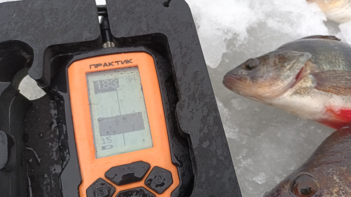 практик 6м фото рыбалка в поволжье. дзен канал