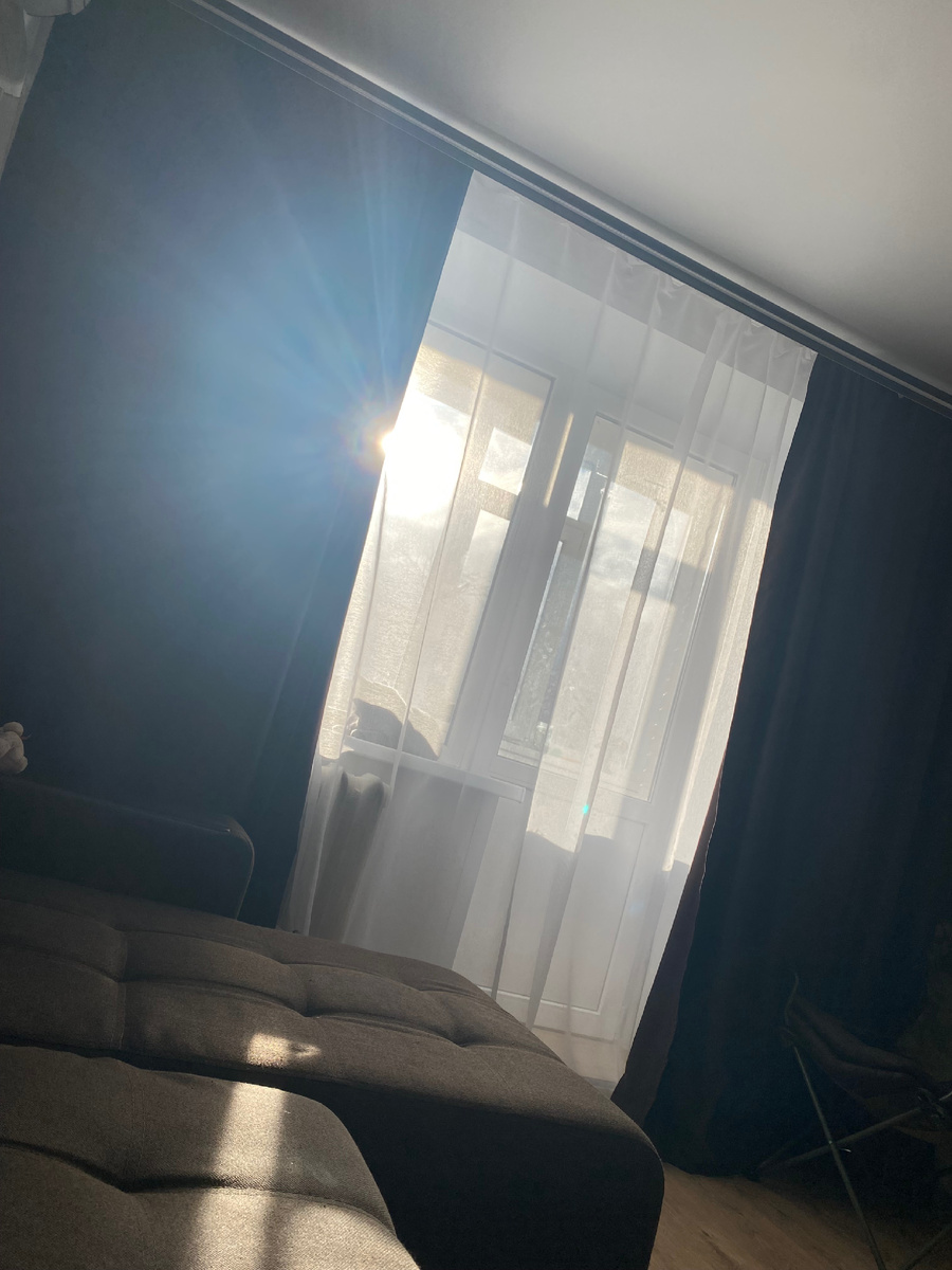 Фото автора. Кайфуем с котом (он на подоконнике) от солнца. Оно нынче гость редкий! За окном поют птицы, +8… настоящая весна!