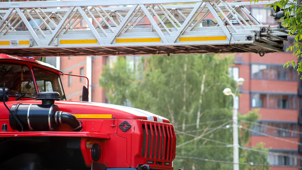    ФОТО: Elena Mayorova/Globallookpress