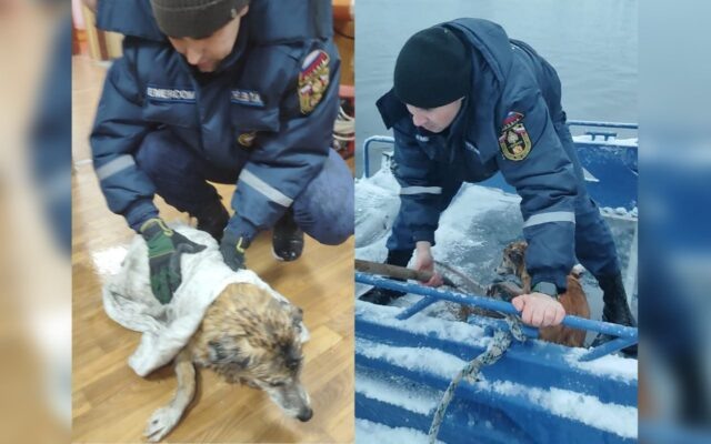     Фото: управление ГО и ЧС