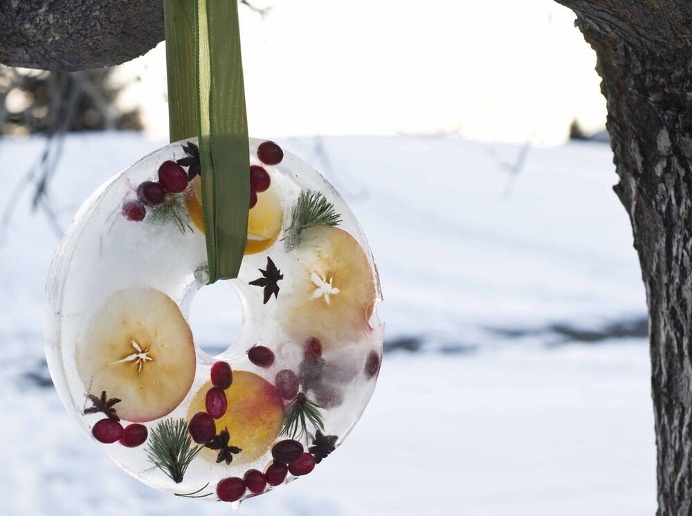 Фото взято из открытого источника