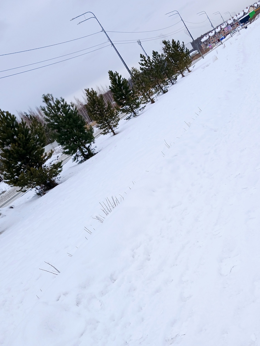 "Доброе утро, мир! Ты прекрасен!" Фото автора