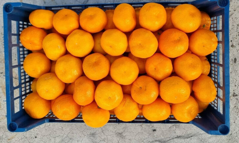    Фото t.me/rsn_yug